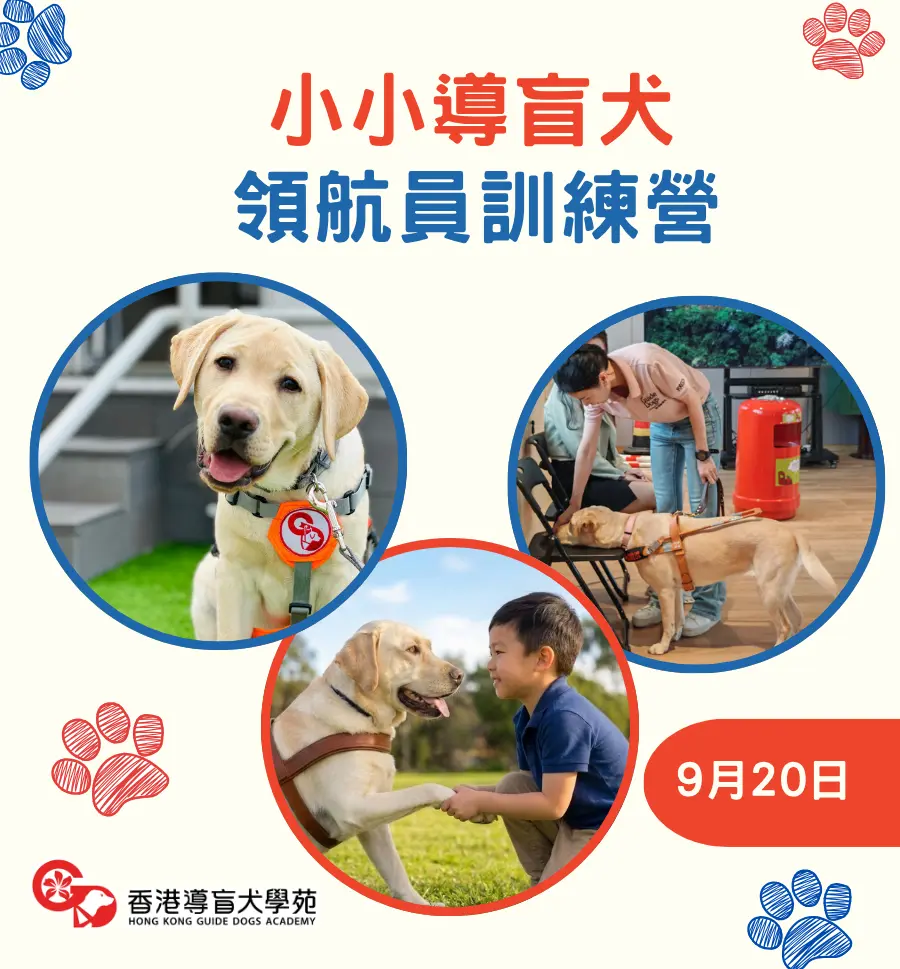 週末必去！香港導盲犬訓練營招募小小領航員 超近距離互動+獲頒紀念證書