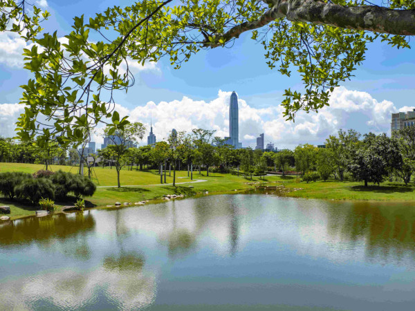 深圳市城市管理與綜合執法局官網 深圳市城市管理與綜合執法局官網
