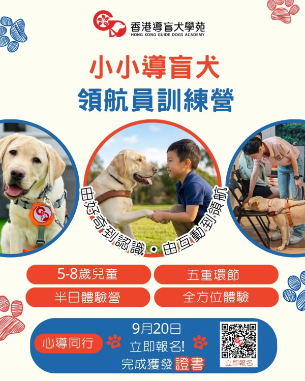 週末必去！香港導盲犬訓練營招募小小領航員 超近距離互動+獲頒紀念證書