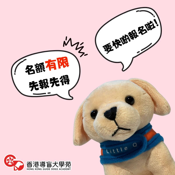 週末必去！香港導盲犬訓練營招募小小領航員 超近距離互動+獲頒紀念證書