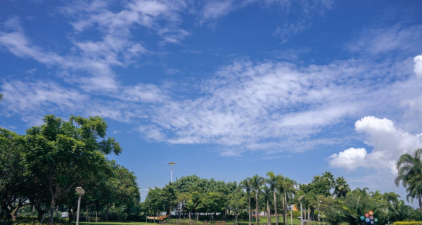 深圳市城市管理與綜合執法局官網 深圳市城市管理與綜合執法局官網