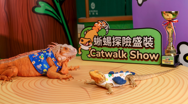 信德集團旗下3大商場「森境奇緣夏日異想尋龍記」首登場3D西寶龍/6大科技打卡位/星級異寵Meet & Greet