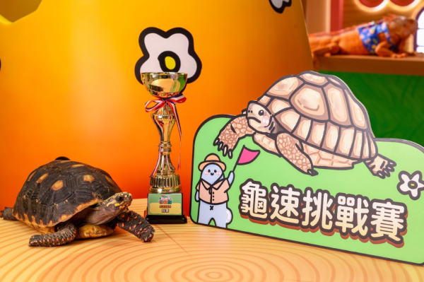信德集團旗下3大商場「森境奇緣夏日異想尋龍記」首登場3D西寶龍/6大科技打卡位/星級異寵Meet & Greet