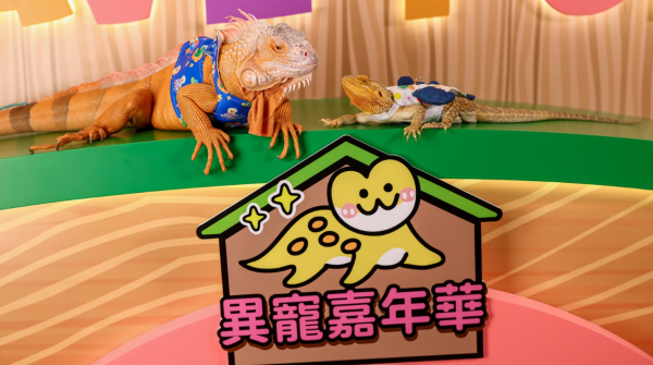 信德集團旗下3大商場「森境奇緣夏日異想尋龍記」首登場3D西寶龍/6大科技打卡位/星級異寵Meet & Greet