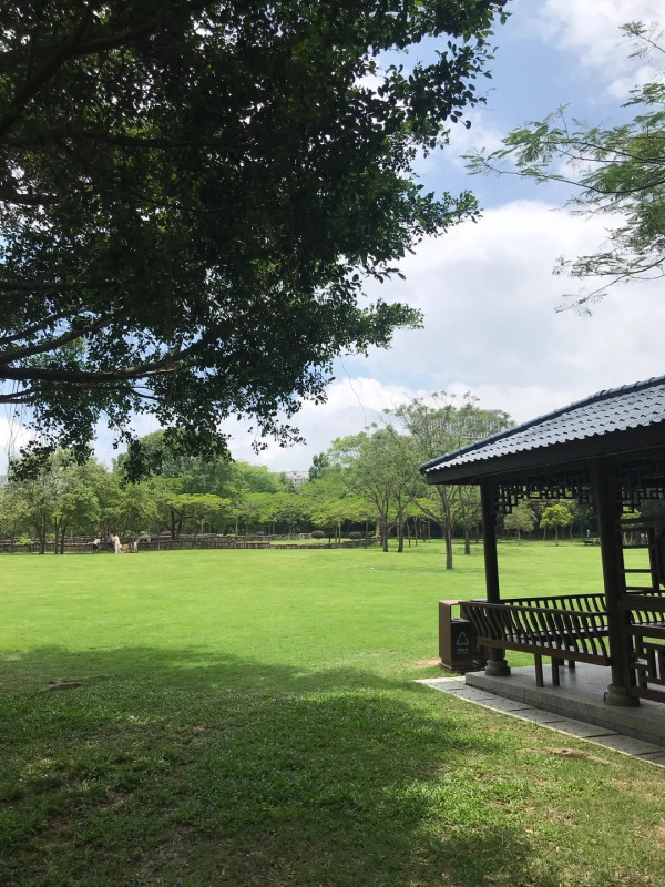 圖片來源:小紅書@慢慢 深圳戶外放空首選!全國最大濕地公園聚龍山 四季花海、觀鳥打卡 附交通地址