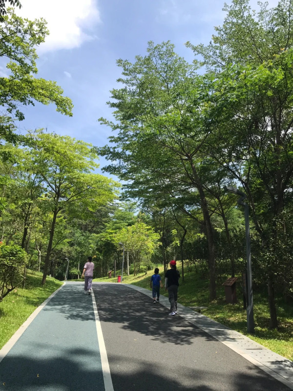 圖片來源:小紅書@慢慢 深圳戶外放空首選!全國最大濕地公園聚龍山 四季花海、觀鳥打卡 附交通地址