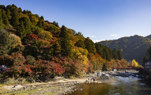 tourismtoyota.jp