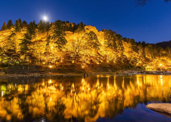 tourismtoyota.jp
