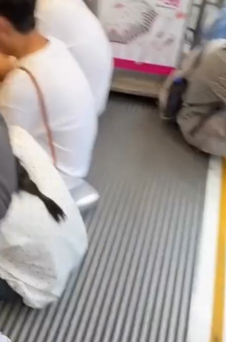 内地游客席地而坐成港铁商铺新常态！“敬请勿坐”告示牌沦为废纸 网友怒喷：完全挡路劝也不走