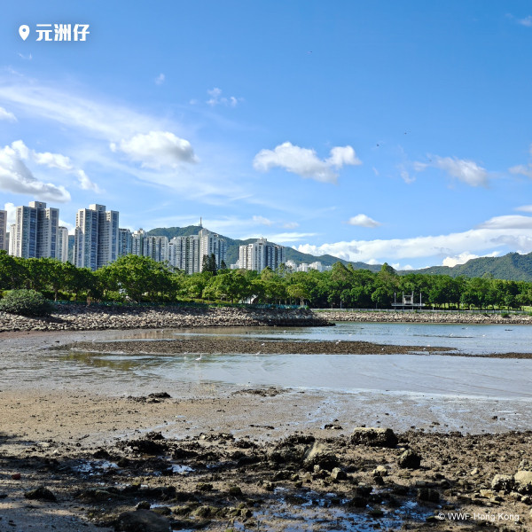 全国生态日2026逾30大免费优惠（图片来源：郊区办网站）