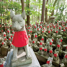 toyokawainari.jp