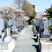 toyokawainari.jp