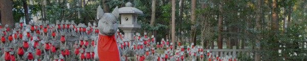 toyokawainari.jp