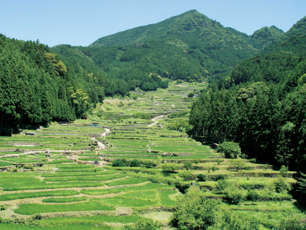 intl.okuminavi.jp