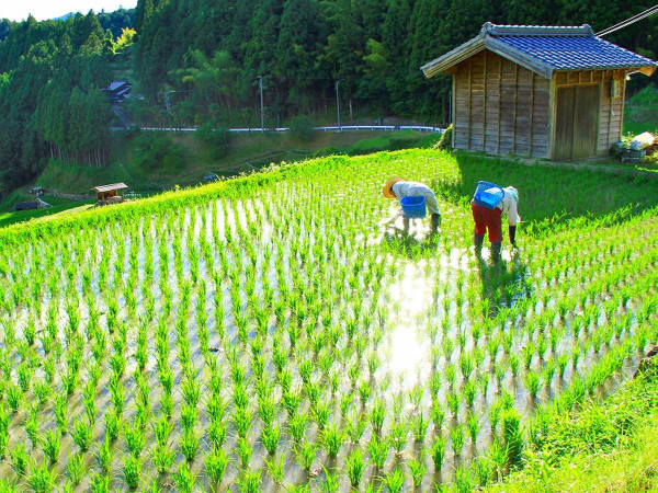 intl.okuminavi.jp