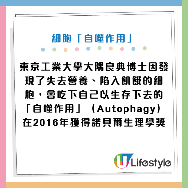 改變1種飲食模式竟然更長壽！名醫揭延壽50%驚人真相：大腦老化最少兼防失智