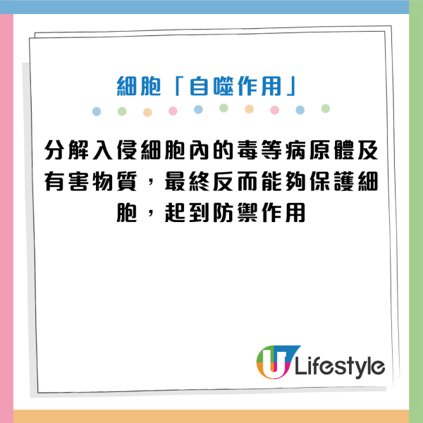 改變1種飲食模式竟然更長壽！名醫揭延壽50%驚人真相：大腦老化最少兼防失智