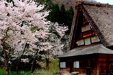 vill.shirakawa.lg.jp
