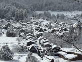 vill.shirakawa.lg.jp