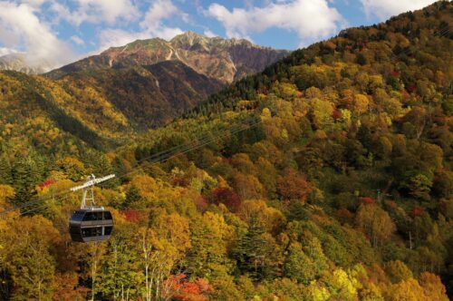 shinhotaka-ropeway.jp