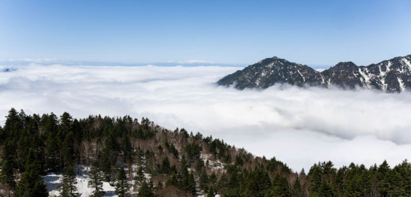 shinhotaka-ropeway.jp