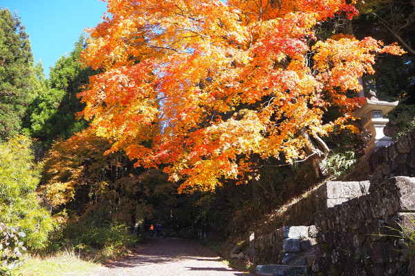 kiso-magome