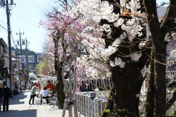 asaichi.net