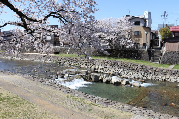 asaichi.net