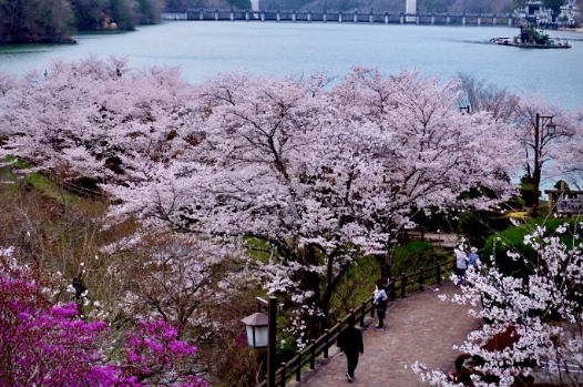 visitgifu