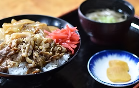 shirakawagou.jp