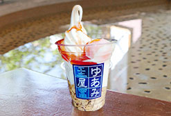 yuamiya.co.jp