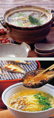 nagaragawa