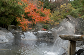 nagashima-onsen.co.jp nagashima-onsen.co.jp