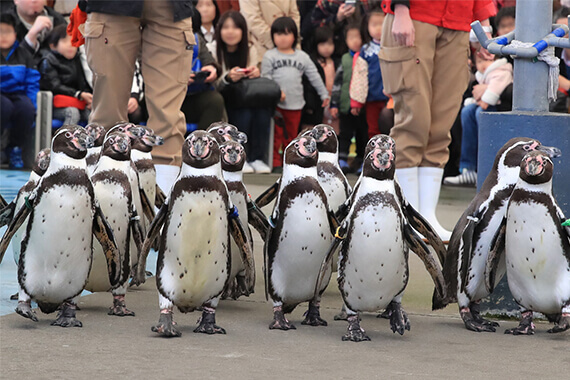 aquarium.co.jp aquarium.co.jp