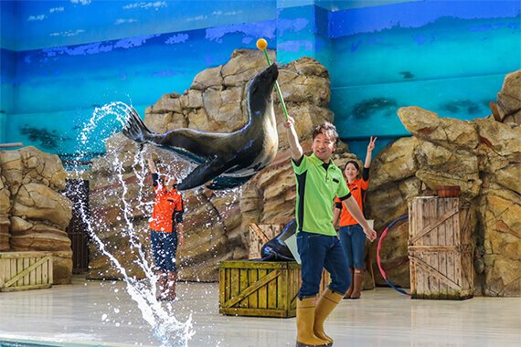 aquarium.co.jp aquarium.co.jp