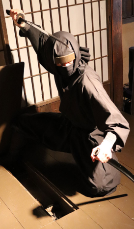 iganinja.jp iganinja.jp