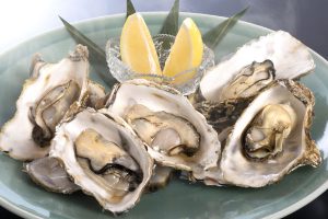kagetu.co.jp kagetu.co.jp