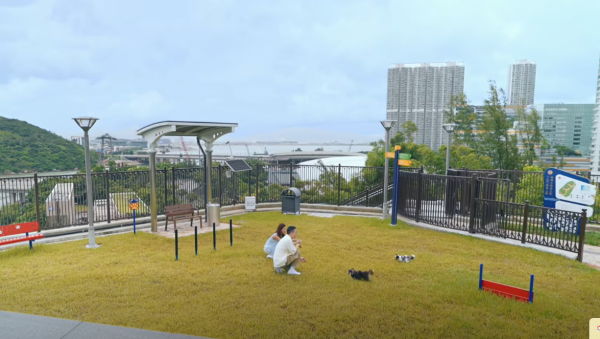 東涌驚現絕美「日落秘密基地」！任睇270度無敵海景+放狗一站式搞定 附交通/地址/開放時間