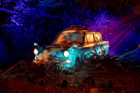 照片來源：Harry Potter: A Forbidden Forest Experience 其他國家展覽照片