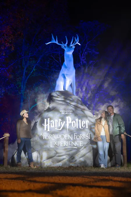 照片來源：Harry Potter: A Forbidden Forest Experience 其他國家展覽照片