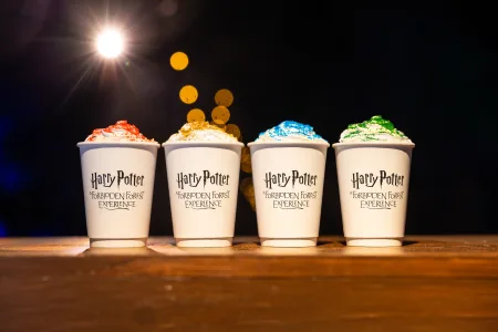 照片來源：Harry Potter: A Forbidden Forest Experience 其他國家展覽照片