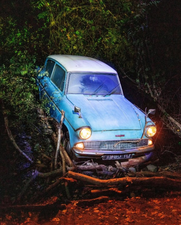 照片來源：Harry Potter: A Forbidden Forest Experience﻿ Facebook 其他國家展覽照片