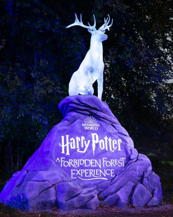 照片來源：Harry Potter: A Forbidden Forest Experience﻿ Facebook 其他國家展覽照片