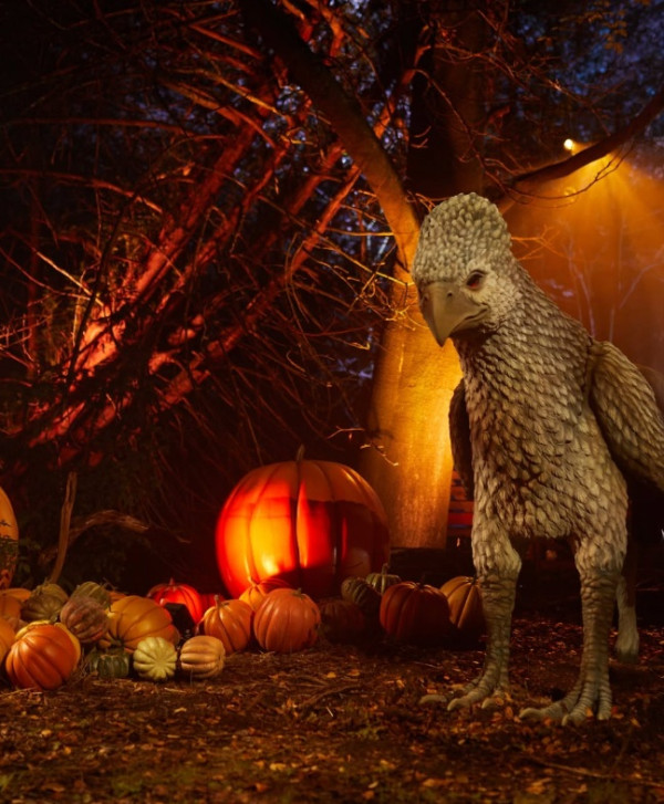 照片來源：Harry Potter: A Forbidden Forest Experience﻿ Facebook 其他國家展覽照片