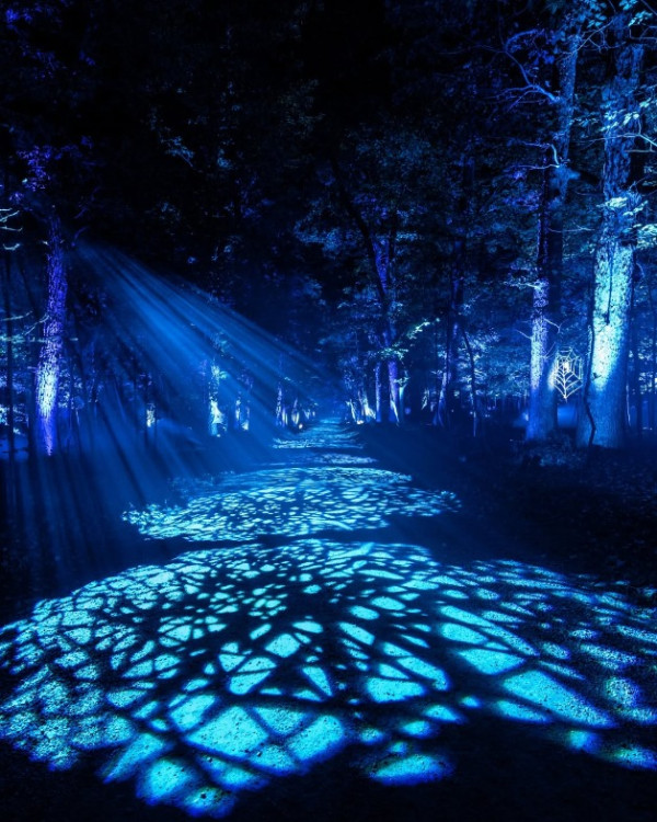 照片來源：Harry Potter: A Forbidden Forest Experience﻿ Facebook 其他國家展覽照片