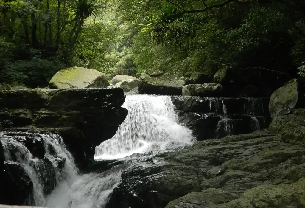 圖片來源:永安旅遊網站 台北溫泉旅行團5大推介!出海賞鯨豚、獨家私人湯屋、米芝蓮必比登美食