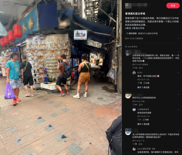 內地人不滿旺角金魚店只准外籍遊客拍照 批香港「白帝城」惹兩地網民熱議!