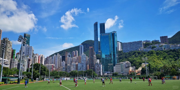 港島好去處|網民嚴選8大治癒行程!神級菠蘿油食法/朝聖魔法部公廁