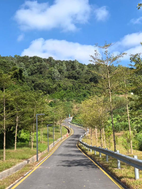 深圳小眾徒步景點！龍崗隱世環山綠道俯瞰水庫絕景！2.15公里輕鬆行、通往天空的「AI之眼」 