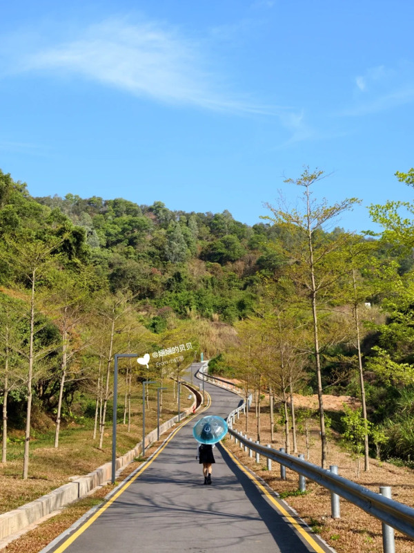深圳小眾徒步景點！龍崗隱世環山綠道俯瞰水庫絕景！2.15公里輕鬆行、通往天空的「AI之眼」 